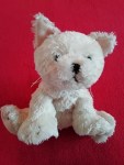 Teddybeer voor kinderen